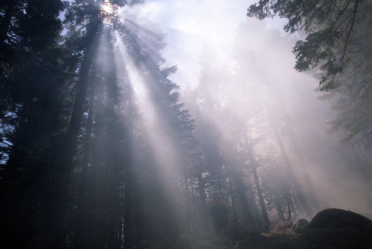 ForestServiceNW's tweet image. Lighter winds this morning have assisted #firefighters in strengthening fire lines and mopping up along the I-84 stretch of #EagleCreekFire.