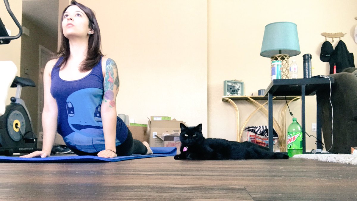 Mimicking Twitter: the place where your cat will be drawn Mimicking Twitter: the place where your cat will be drawn