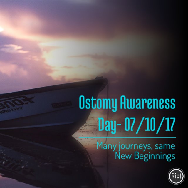 Danielvds tweet media