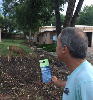 KenJarayMayor's tweet photo. Here's Ken engaging our community in #CrystalHills yesterday.
. . .
#ken4mayor #engagingourcommunity #manitousprings #voteken https://t.co/4VqY2VY2m5
