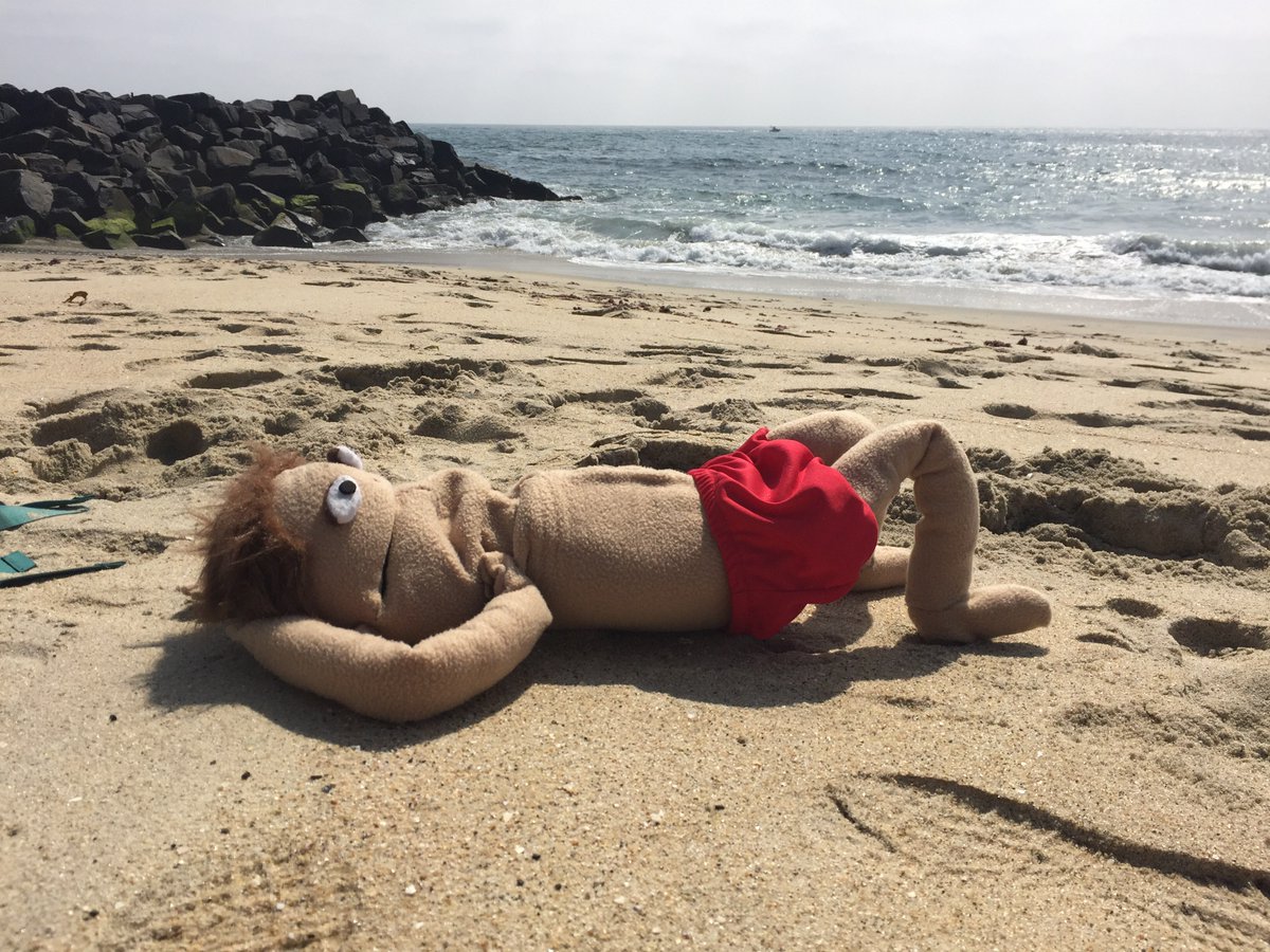 PuppetMulder's tweet photo. #TBT to my vacation and the #RedSpeedo’s first trip to the beach! #PuppetMulder #XFiles #SitUpsOnTheBeach https://t.co/kN87pJO8wz
