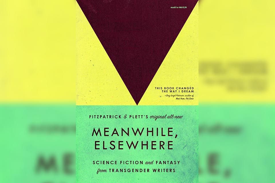 liveinlimbo's tweet photo. Missed it? @milnerwords reviews “Meanwhile, Elsewhere” by Fitzpatrick &amp; Plett. Find out what he thought of it : https://t.co/wnS05v9Cu6 https://t.co/BxgxXI0ceQ