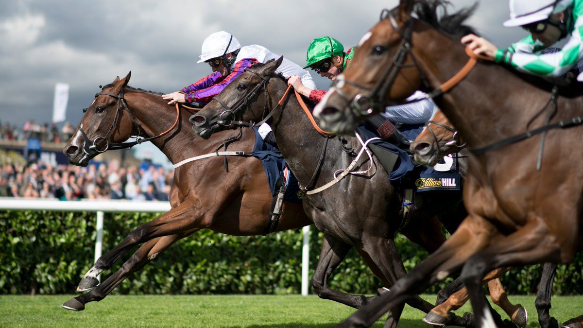 Racing Post (RacingPost) Twitter