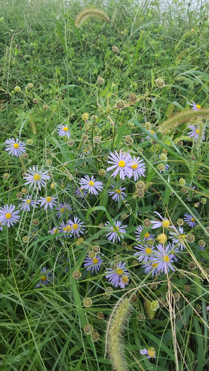 사람들은
늘 삶을 그리려
하지만

인생은 그리는게
아니라

그려지는 거라는걸
모르고 살다 죽는다.