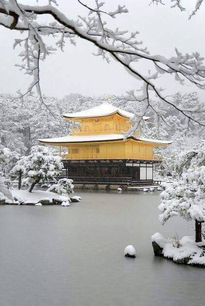 Samurai_Wifi's tweet photo. Kinkakuji temple in winter , Kyoto - Japan🇯🇵
Cr. Jom-Jom
#bsmobile #SamuraiWifi #Japan #Pocketwifi https://t.co/4veNuOMIiq