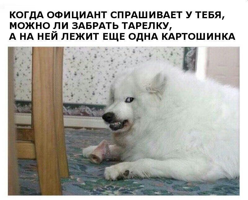 DJsN7WzXgAE3mMZ.jpg