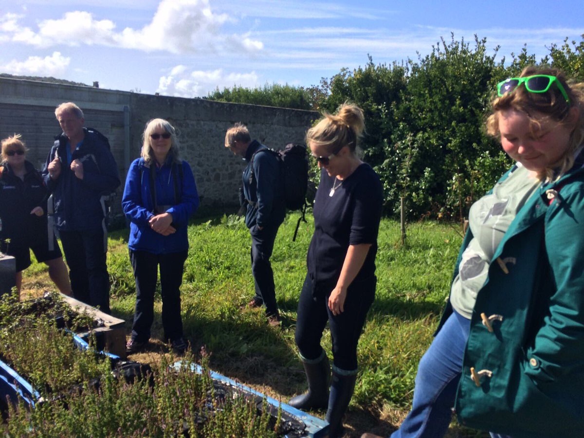 veronica_farm's tweet image. The next herb session is 11am on 28th September #TasteofScilly. Such a great group this morning.