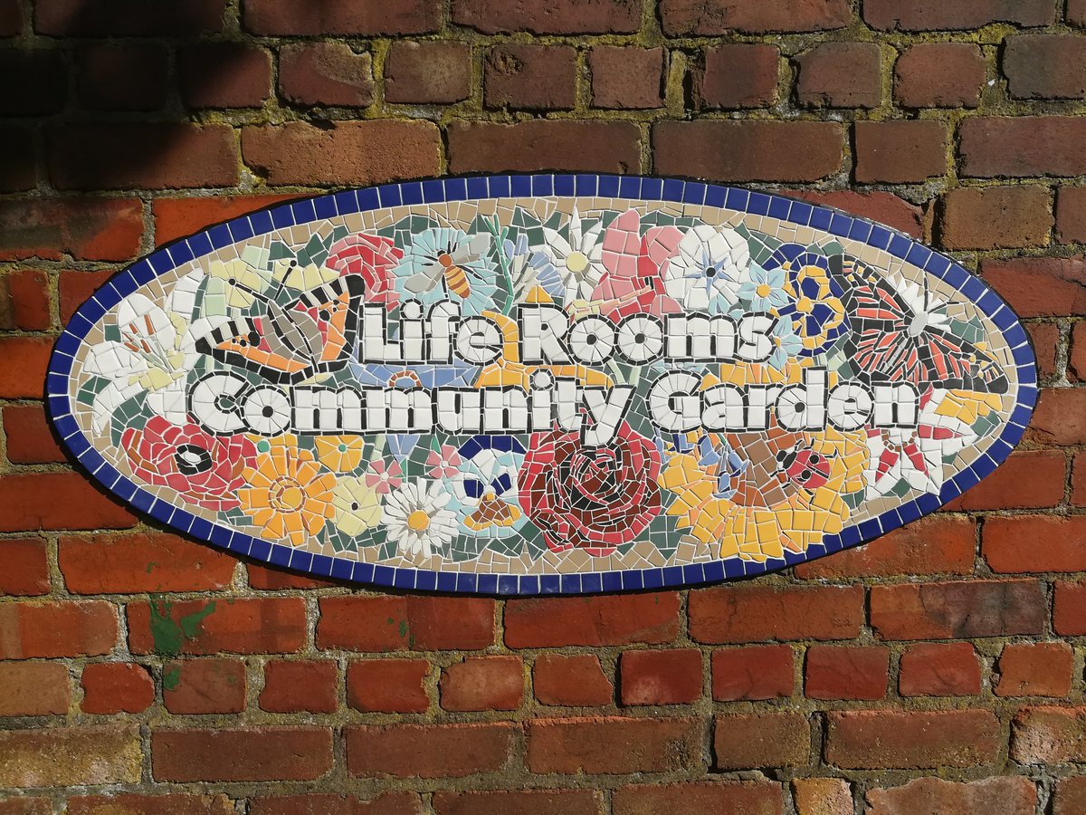 Start Creative CIC tweet media