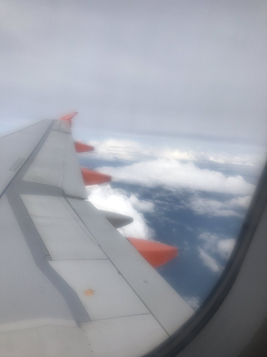 Hanna Halbroth tweet media