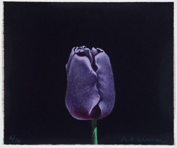 Vkeiasart's tweet photo. Yusa, ex-THE KIDDIE as Tulip by Paul Wonner, 1982 https://t.co/bQmujyVtIX