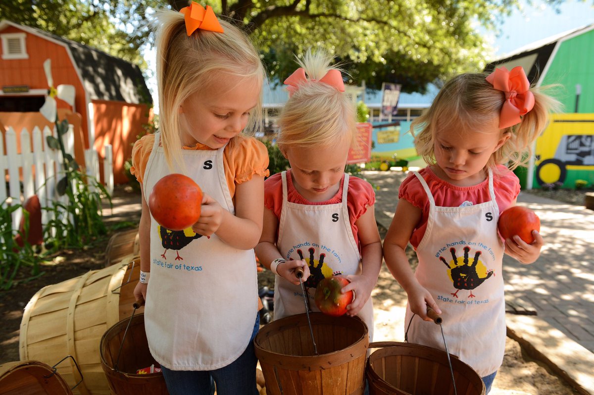 StateFairOfTX's tweet image. 15 days till @StateFairOfTX! During your visit, be sure to check out the Little Hands on the Farm- Great for kiddos of all ages! #Countdown🤠