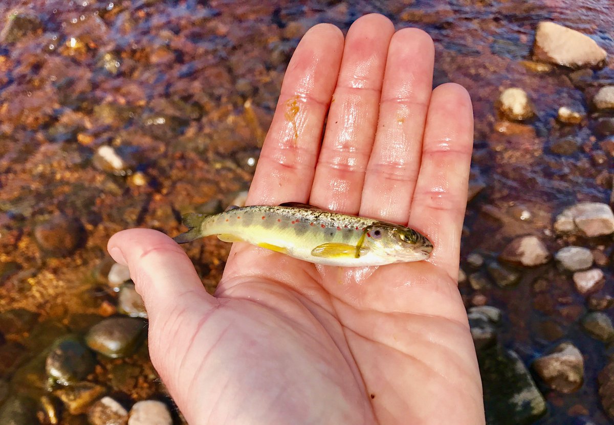 fishprep's tweet image. Lucky for some of us, size is not everything...
Share it all on fishprep.com