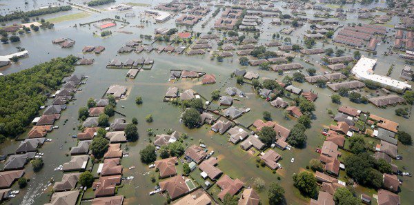PublishersWkly's tweet photo. Follett, TLA Unveil Relief Programs for Texas School Libraries https://t.co/x0LR2Y2voy https://t.co/VNLI5M89pR