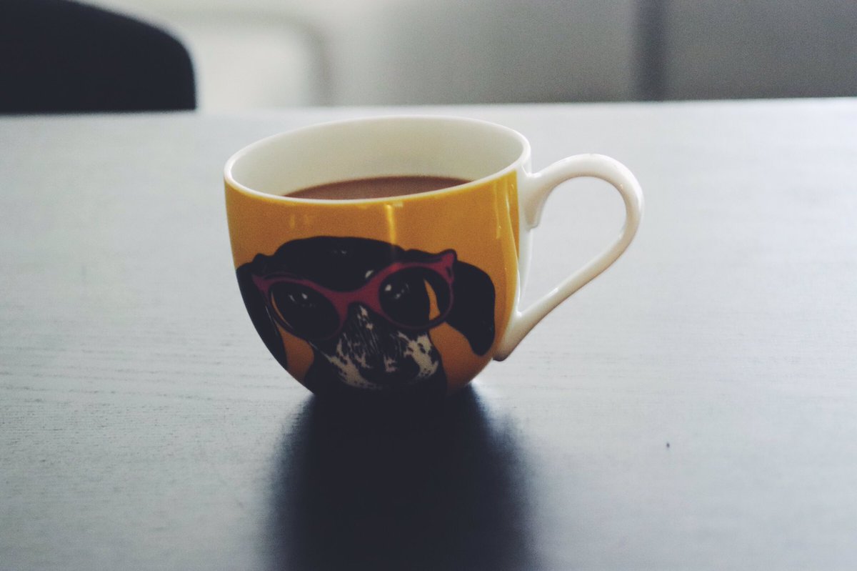 amuleros's tweet photo. My new partner of my mornings ☕️🌞😍🐶#dachshund #VenusRules https://t.co/nUA3ew7mPw