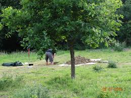 Eden Valley Burials tweet media