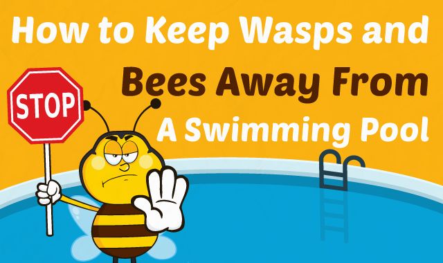 BensonPools's tweet photo. How to Keep Wasps and Bees Away From a Swimming Pool https://t.co/NtsLqAh4C6 https://t.co/N9RJ9Ask4t