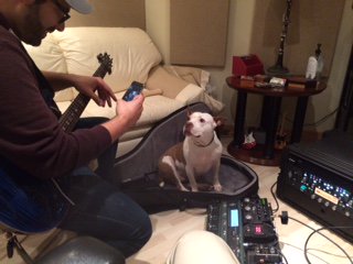 MasterRecs's tweet image. Molly Moo helping Andre Madatian dial in some new settings on his new Kemper guitar rig. #thirteendegreesstudio #andremadatian #KemperAmp