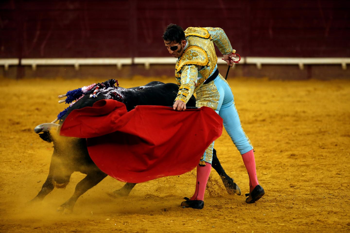 the details of bullfighting celebrations Bullfighting – torture or culture the current campaign comes in response to the recent celebrations for guadalajaras 468th birthday bullfighting, which. the details of bullfighting celebrations Bullfighting – torture or culture the current campaign comes in response to the recent celebrations for guadalajaras 468th birthday bullfighting, which.