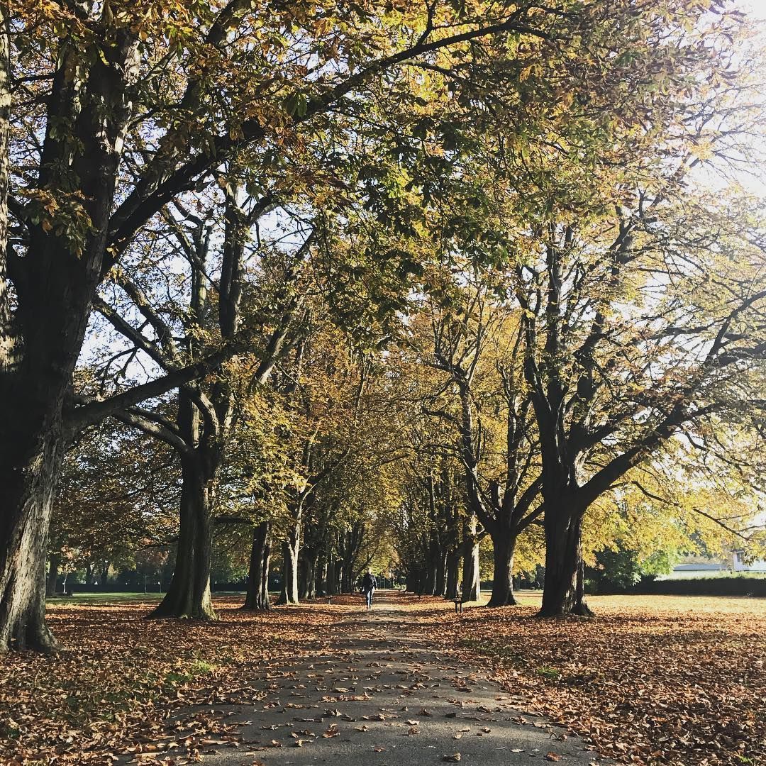 As nights draw in &amp; winter coats come out Ealing prepares for autumn. Here's our new guide to autumn in #Ealing 🍂🎃💥 bit.ly/2h5cpRV