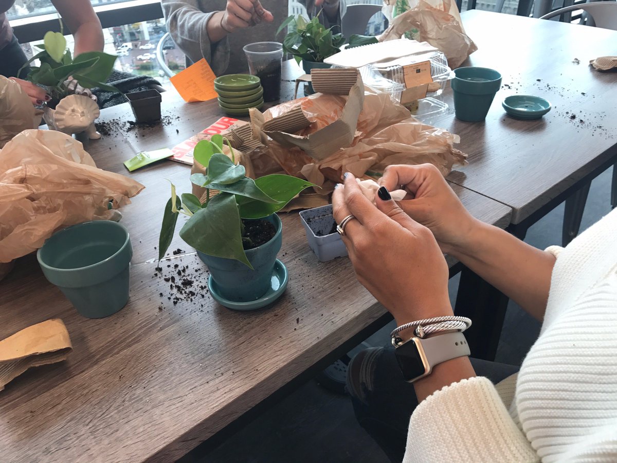 ReturnPath from Validity (@returnpath) on Twitter photo Our #Indy office is repotting the plants from <a href="/EngledowGroup/">Engledow Group</a> that they got yesterday - thanks guys! Our #Indy office is repotting the plants from <a href="/EngledowGroup/">Engledow Group</a> that they got yesterday - thanks guys!