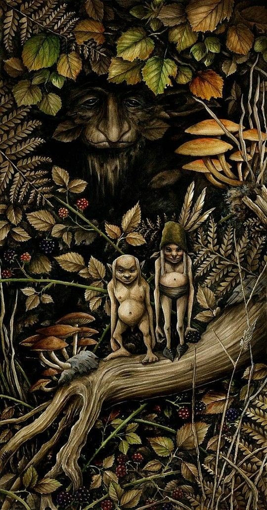 AnneRoth1983's tweet photo. #Gnomes #Fairies #NaturSpirits 
Creative Illustrations by #MarcPotts https://t.co/xbbHXZjmQ4