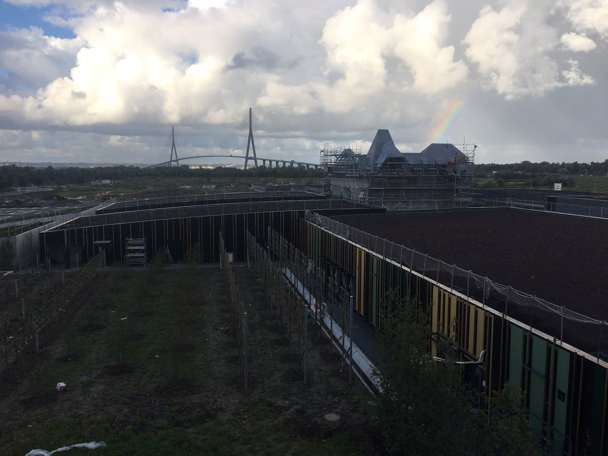 Un arc en ciel pour notre visite #outlethonfleur #cestbienlemoisdenovembre 😩