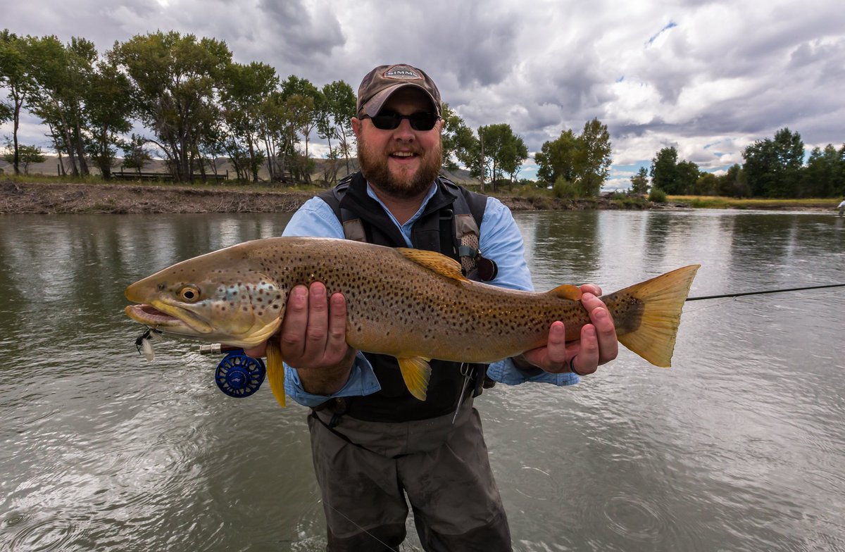 working on #montana #flyfishing guide web seaandstream.com/Montana/ #trout #fishing