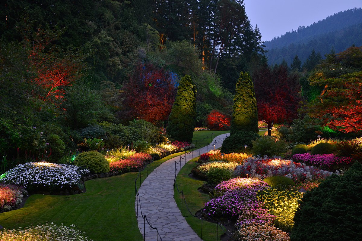 Tomorrow is the final Night Illuminations showcase of the season. Come around 5pm, see #ButchartGardens in daylight and later darkness.
#yyj