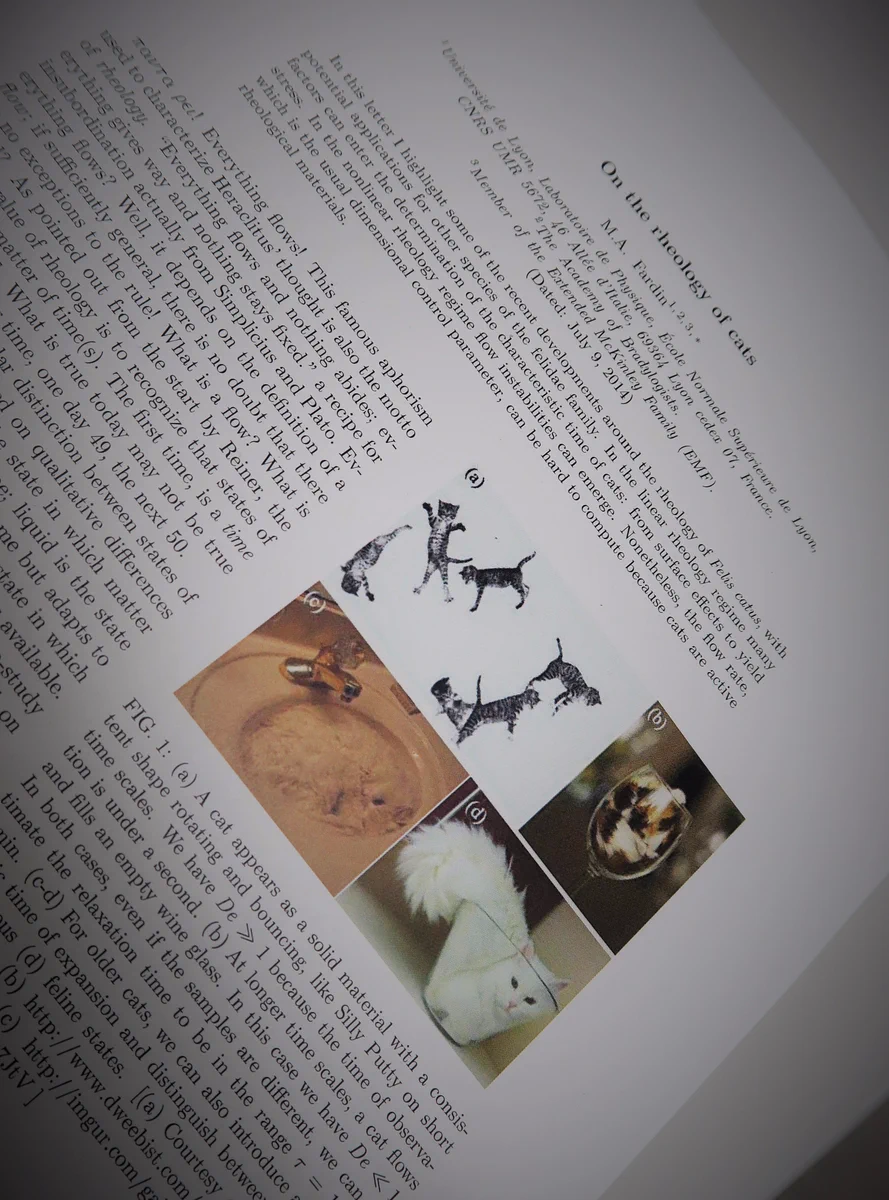 猫は固体であり液体である！？今年のイグノーベル賞でついに猫の正体がバレるｗｗｗ