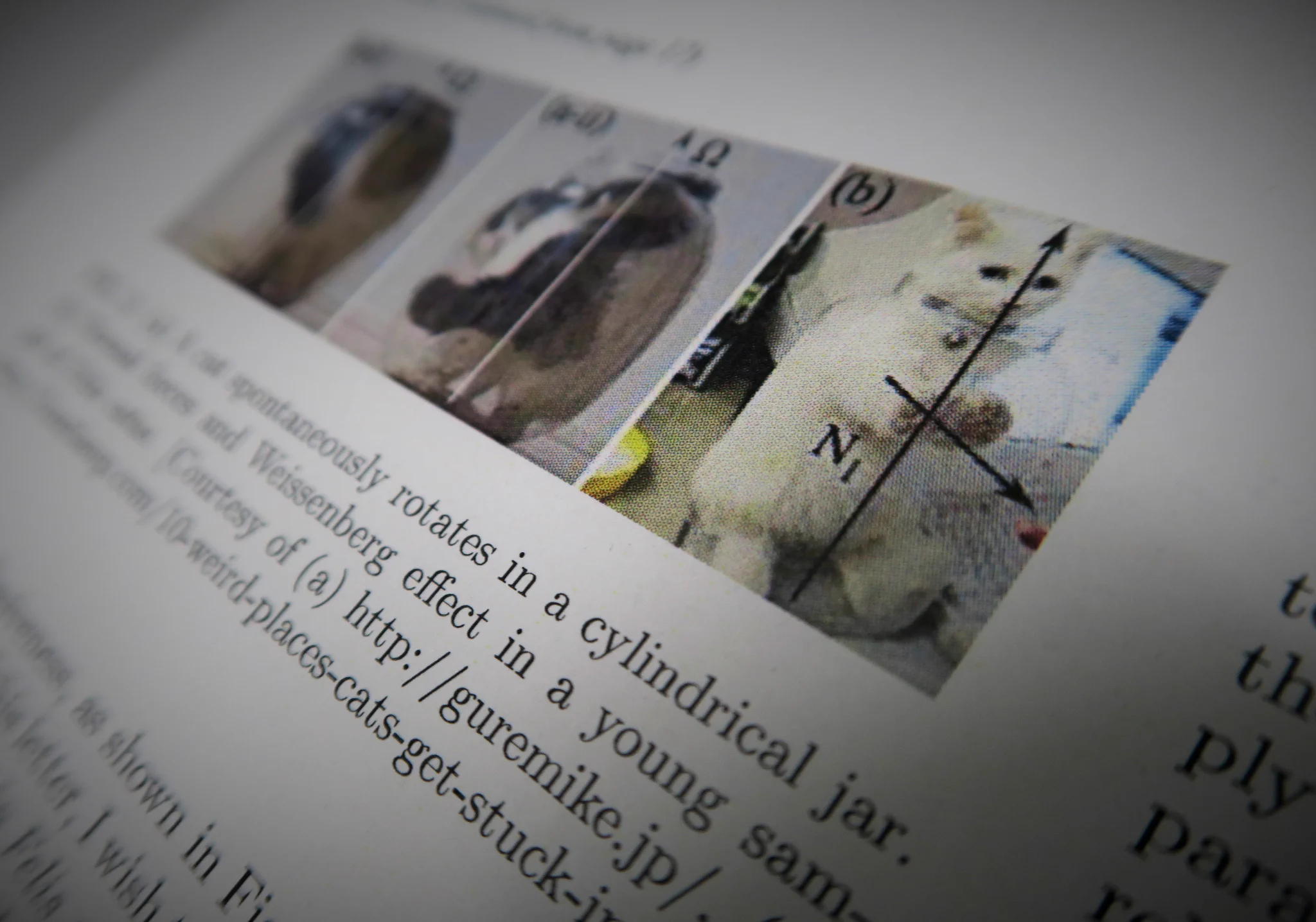 猫は固体であり液体である！？今年のイグノーベル賞でついに猫の正体がバレるｗｗｗ