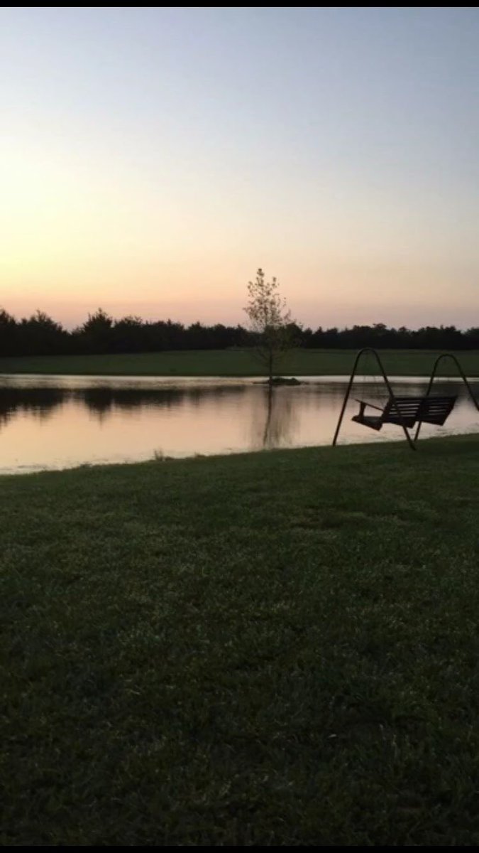 whitneykult's tweet photo. We love sitting out in the FRESH air with our dogs and a small flock of free range chickens. #mybackyard #notysonintongie @NoProjectSunset https://t.co/0uxUIpRXgy