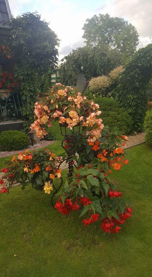 TATIANA DANTAS (@tatianadesigne4) on Twitter photo 