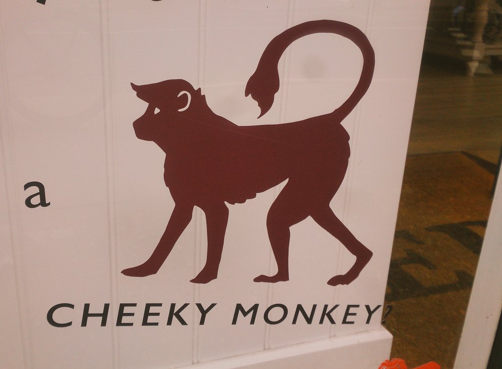 decideaquest's tweet photo. Identity crisis: #CheekyMonkey or #TotalFox? Probably some kind of unholy #Chimera!  #nonbinary  (Just #NotTheOwls!) https://t.co/lmMG5HpIBK