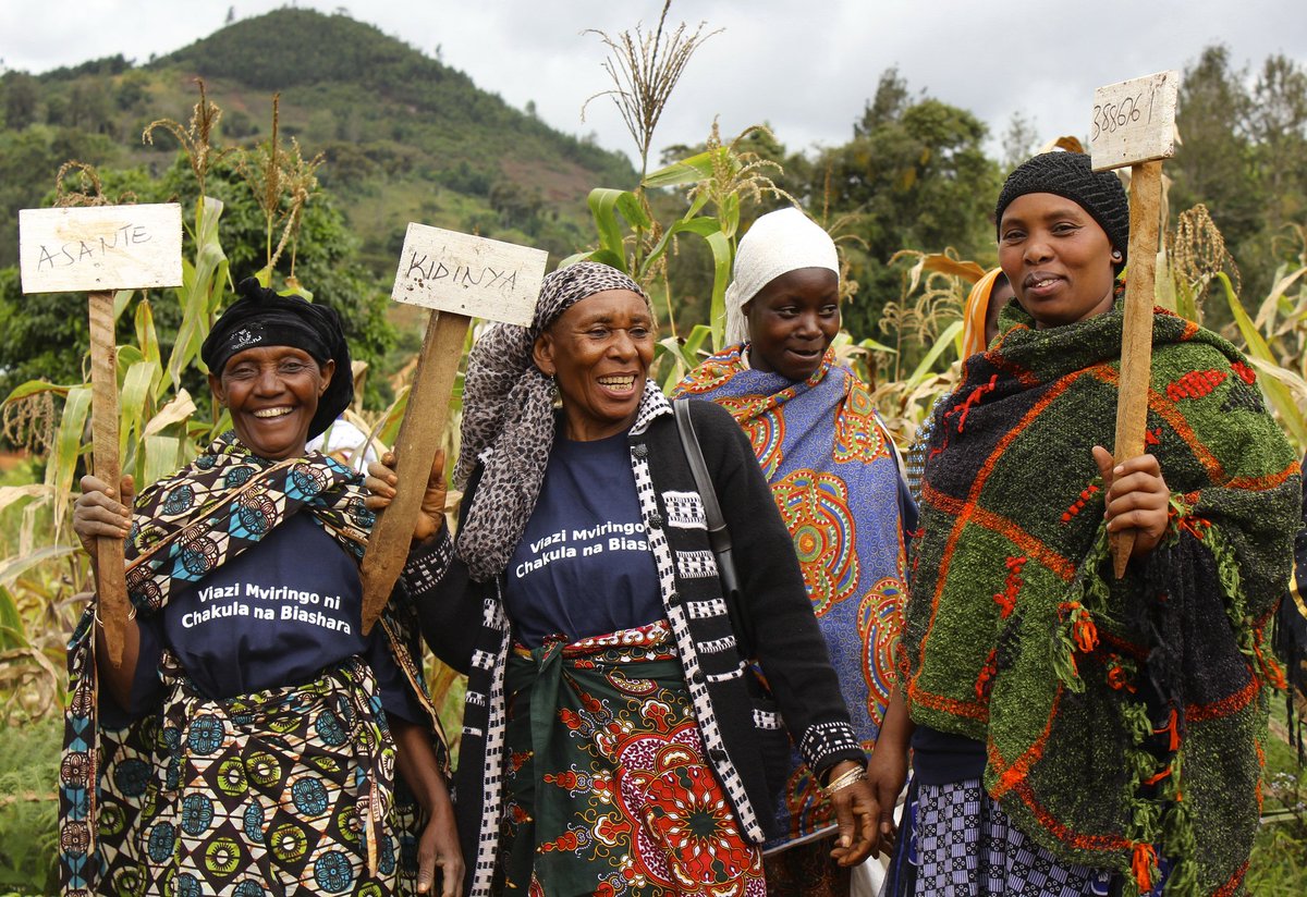 Register now for "Design elements for #gender-responsive plant &amp; animal breeding" #Webinar - 21 Sep @ 4pm CEST bit.ly/2x2IHEy
