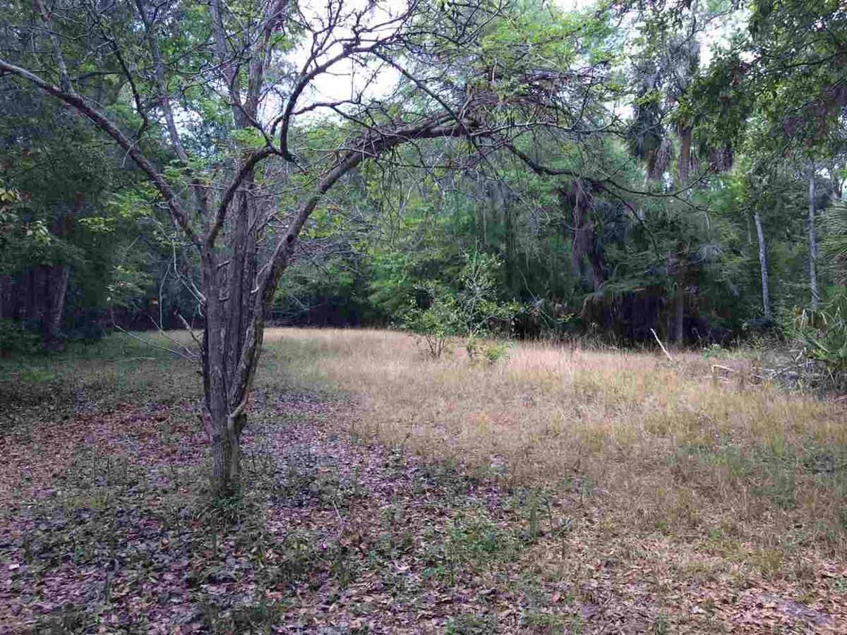 devinschmidtRE's tweet image. 10k price reduction! 10.96 acres across from Homosassa River! Citrus groves, pond, and large pole barn! #homosassa goo.gl/DEzXc4