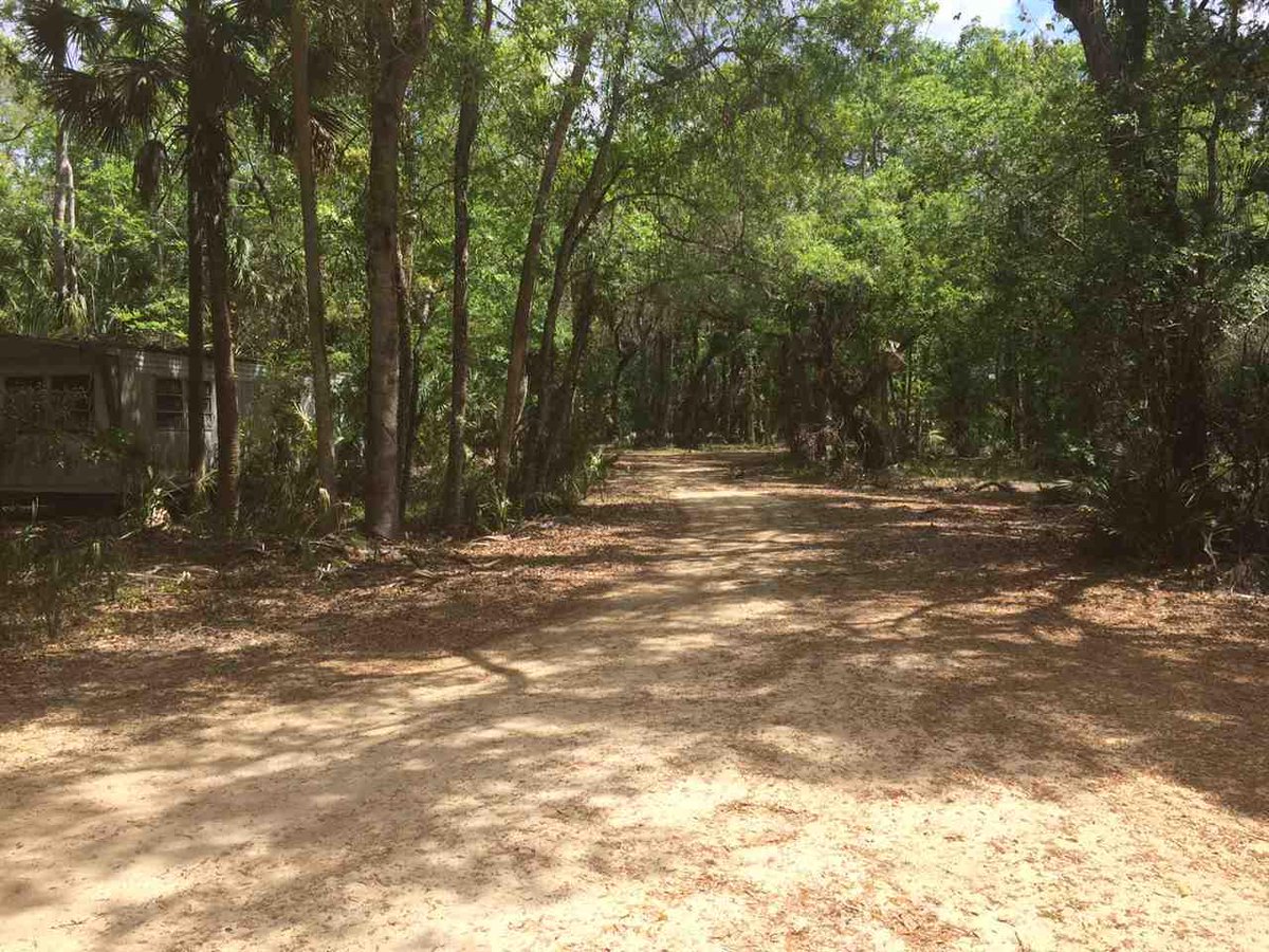 devinschmidtRE's tweet image. 10k price reduction! 10.96 acres across from Homosassa River! Citrus groves, pond, and large pole barn! #homosassa goo.gl/DEzXc4