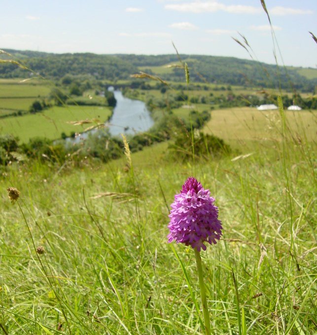 Good communicator?  Could you give some time to the #chilterns as a Volunteer Comms &amp; Media Assistant #Outdoorhour ow.ly/R01x30eqjOi