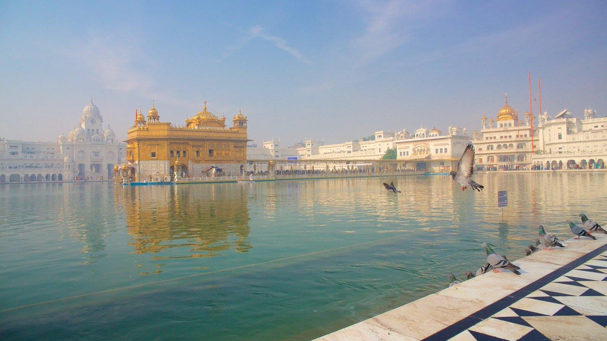 Simply Nomadic Life (@simply_nomadic) on Twitter photo Travelling to #India? Make sure you visit the Golden Temple in #Amritsar!
#Amritsar Travel Guide: bit.ly/2x9vM3n by <a href="/ExpediaIN/">Expedia India</a> Travelling to #India? Make sure you visit the Golden Temple in #Amritsar!
#Amritsar Travel Guide: bit.ly/2x9vM3n by <a href="/ExpediaIN/">Expedia India</a>