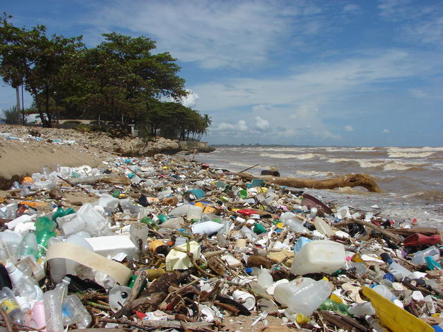 EcoCiudadania's tweet photo. Fundación Tierra Viva participará en las actividades con motivo del Día Mundial de las Playas - https://t.co/6Ix0M3JNq9 https://t.co/Sv1c8tkxnK
