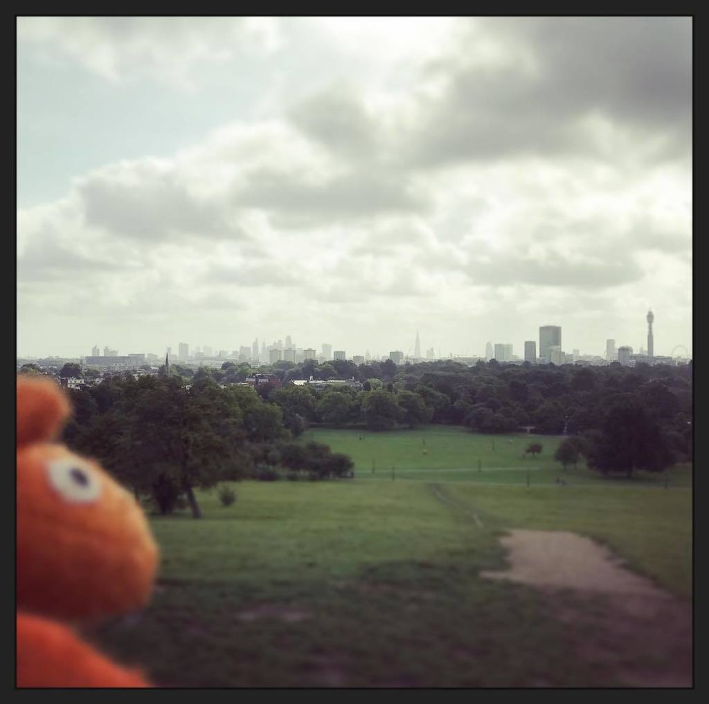 thegoodevilcom's tweet photo. Squirrel checking all the cool spots in London. From Primrose Hill you have a superb view! #squirrelontour #squirrelbaer #squirrelbear #sqb… https://t.co/UBLNw4Qyuk