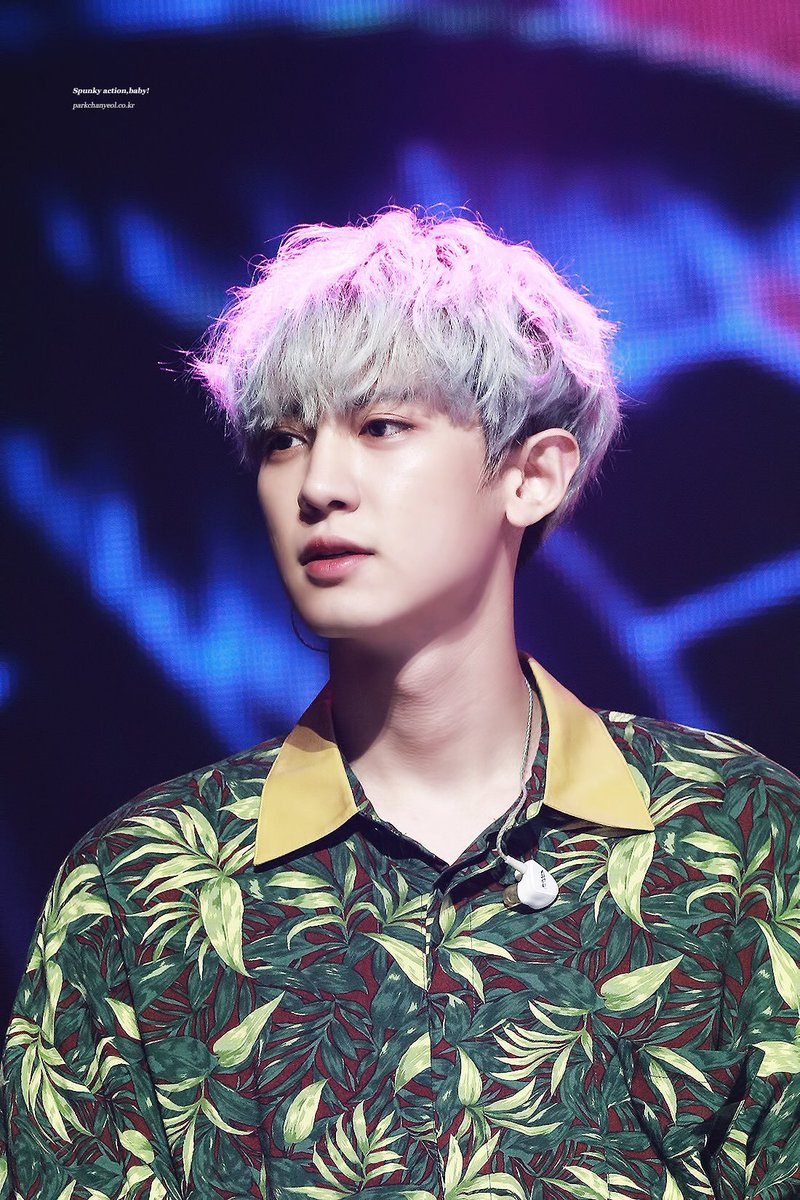 kaichickenn's tweet photo. more chanyeol https://t.co/z6h2rwVVHX