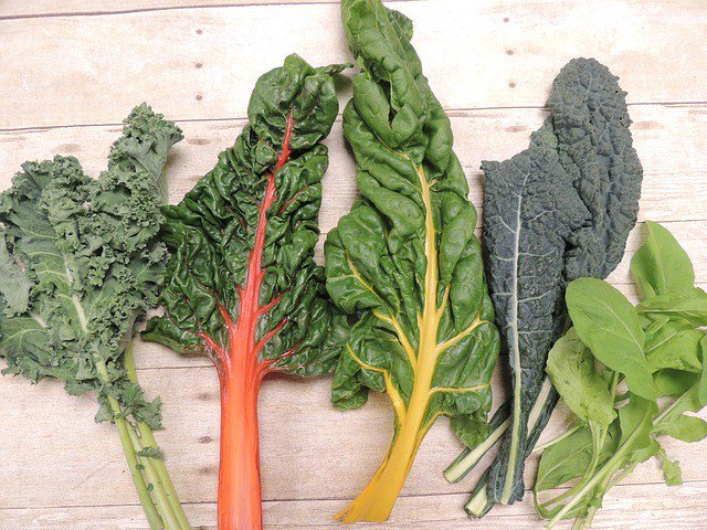 bridgetcasey_nd's tweet photo. What should you look for in a cleanse? https://t.co/ETa9xXswbn https://t.co/2ism0NClbU