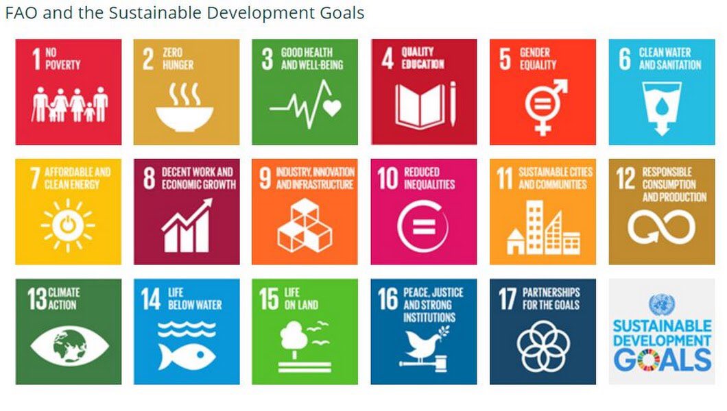 From ending poverty &amp; hunger to responding to #climatechange - food &amp; #agriculture lies at the heart of Agenda 2030. #zerohunger