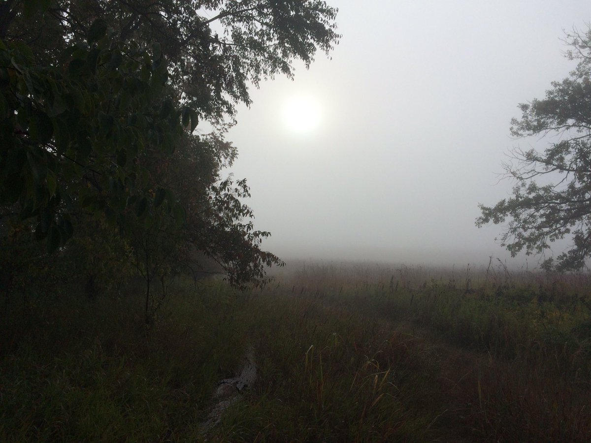 BMitchellMSU's tweet photo. Went out to a prairie this morning and the fog was perfect! #FWClass #FishWild https://t.co/98wGqMwmhR