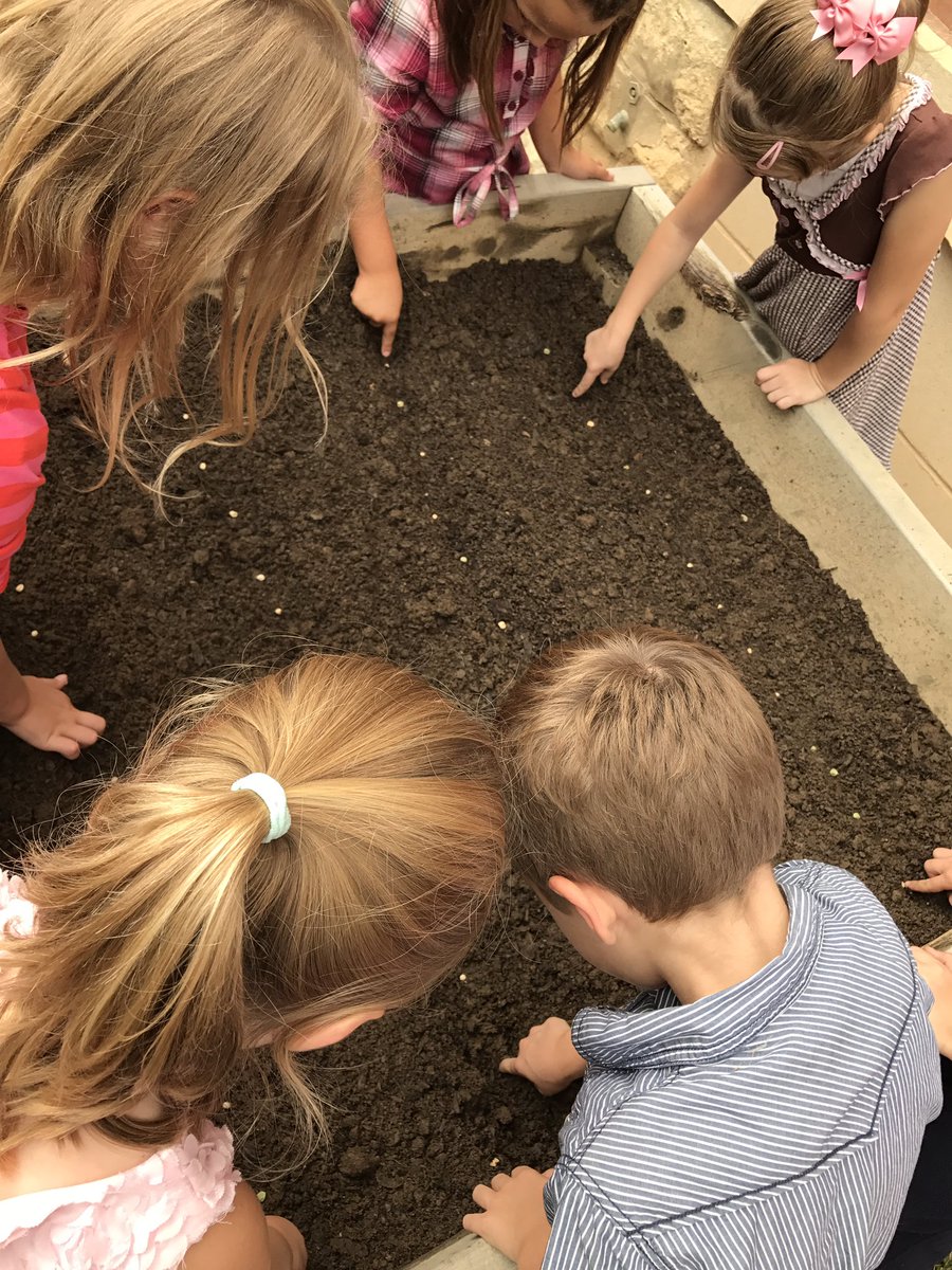 BloomMsDavis's tweet photo. Planting our fall crops in our Bloom garden #BloomDL @BloomBulldogs https://t.co/ZUQzfSnnZv