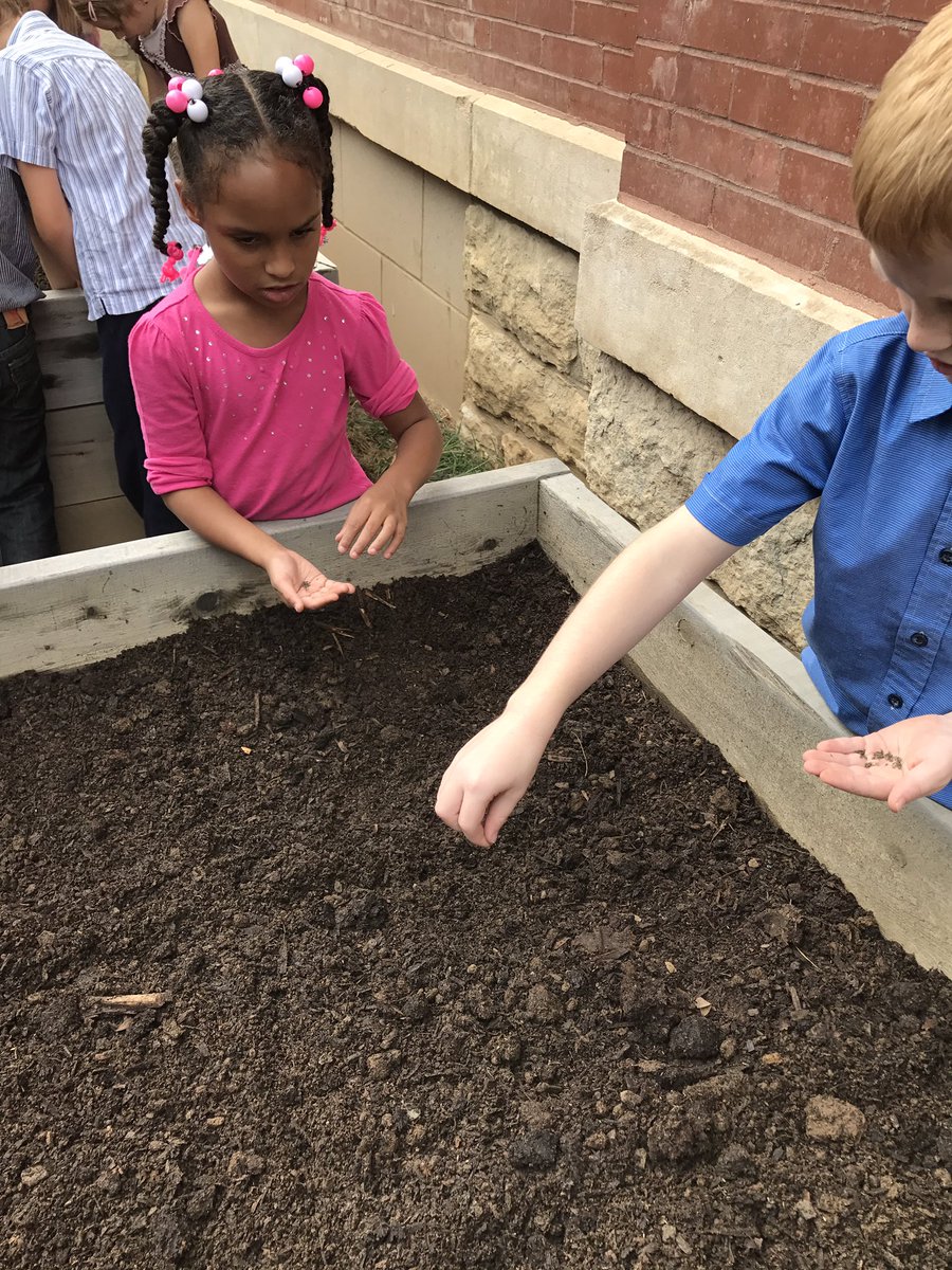 BloomMsDavis's tweet photo. Planting our fall crops in our Bloom garden #BloomDL @BloomBulldogs https://t.co/ZUQzfSnnZv