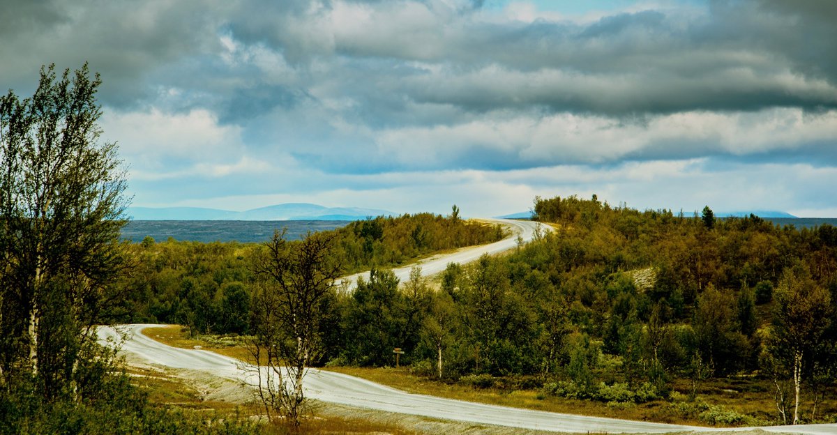 TheSwedishSaga's tweet photo. The road to no-where
#Sweden #Flatruet https://t.co/X7W1vefdx8