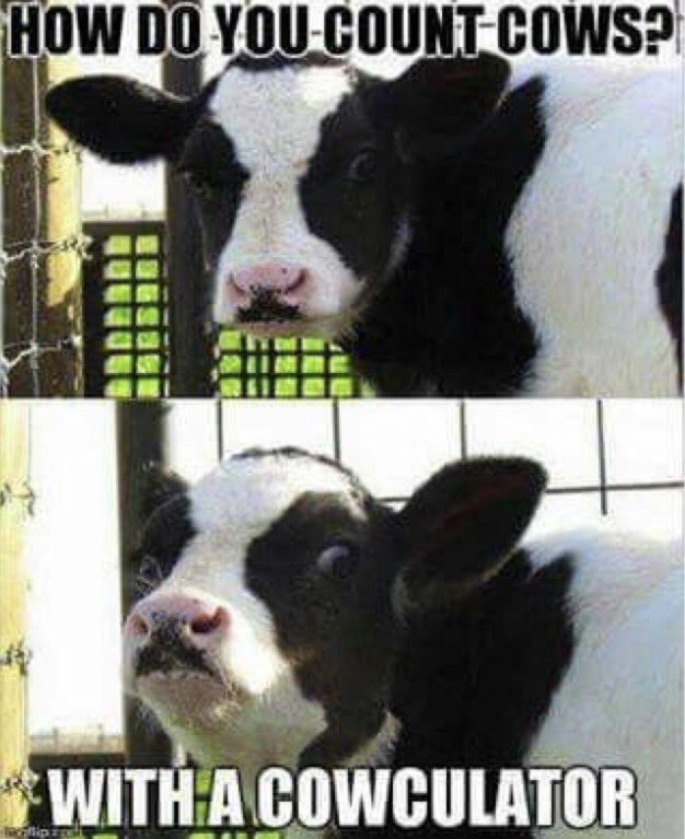 Keyometry244's tweet photo. #LOLThursday https://t.co/4rxNGLJvdZ