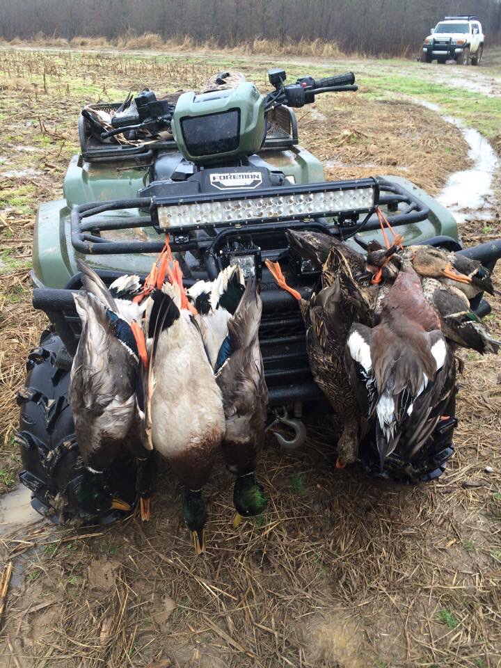 wings_outd's tweet image. The itch is slowly getting worse and worse. Duck season is just right around the corner and we can't wait! #wwoutdoors