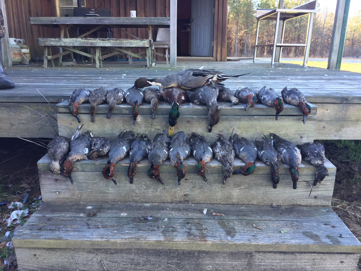 wings_outd's tweet image. The itch is slowly getting worse and worse. Duck season is just right around the corner and we can't wait! #wwoutdoors